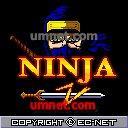 game pic for Legend of Ninja 2